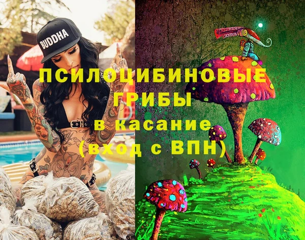 дживик Балахна