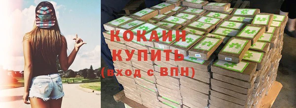 дживик Балахна