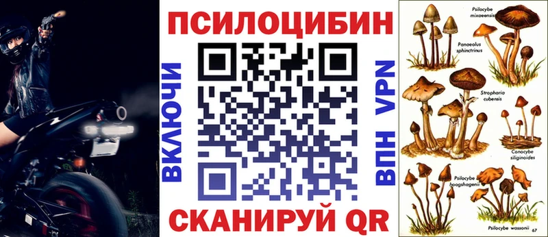 Псилоцибиновые грибы Magic Shrooms  blacksprut ONION  Куса 